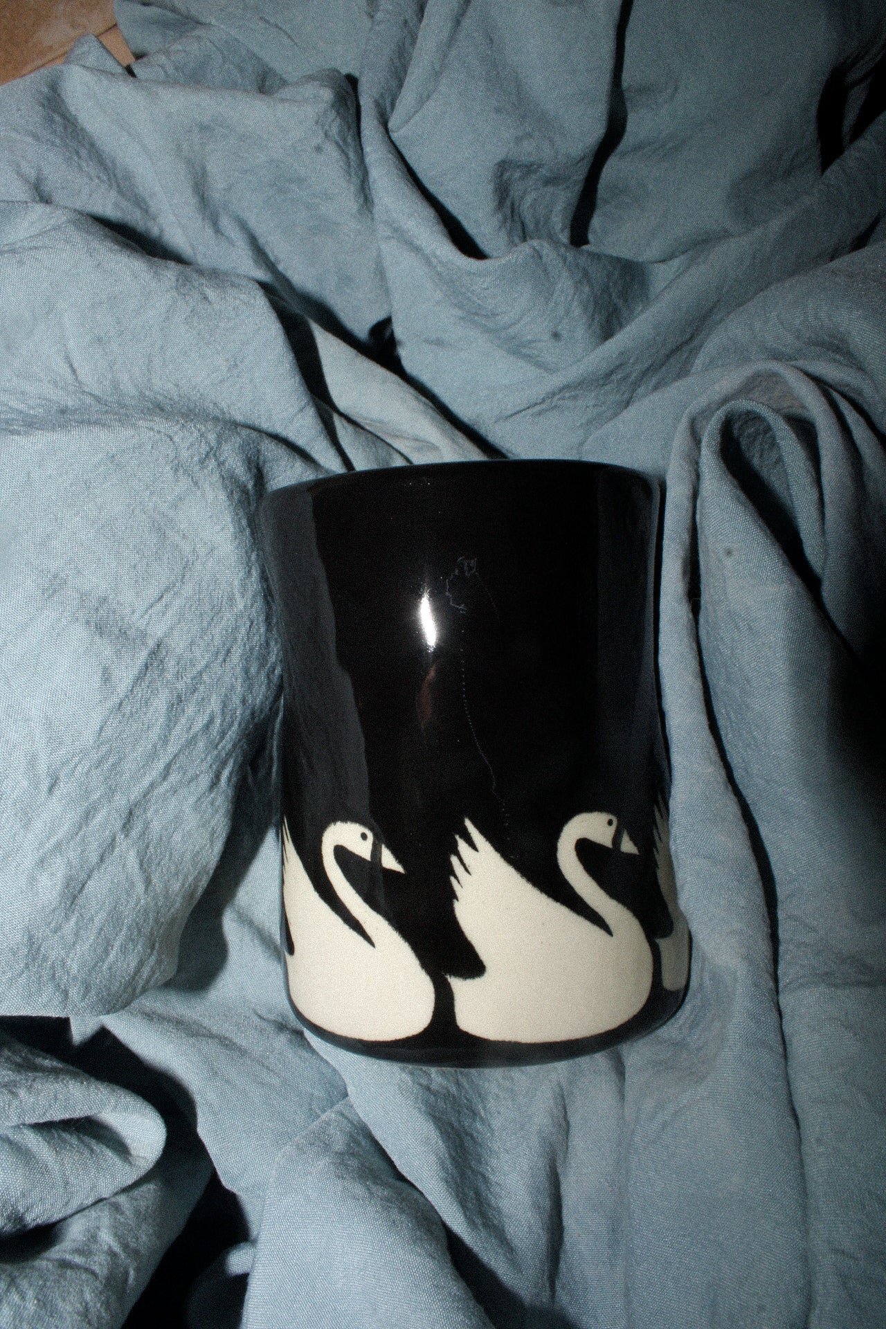 swans swimming cup